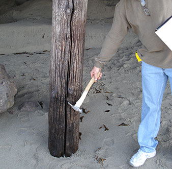 Timber Pile Repairs